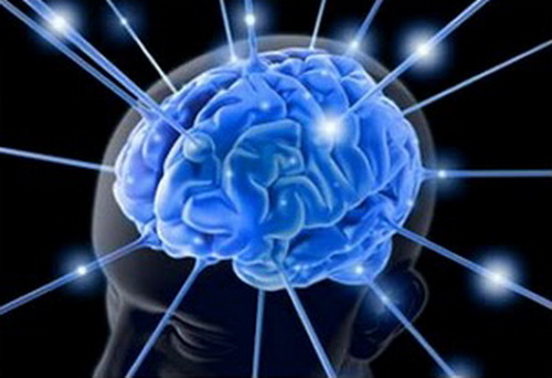 ภาพจำลองของสมอง