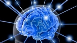 สร้างสมองให้ฉลาดและพัฒนาศักยภาพทุกด้านให้ลูกใช้หนังสือเสริมได้ตั้งแต่ 4 เดือน