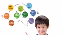 สสส.หนุนอ่านหนังสือพัฒนา 9ทักษะ EF สร้างกระบวนการสมอง