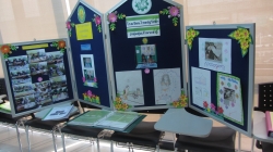 สสส.เห็นความสำคัญ ร่วมจัดโครงการ “สัปดาห์ส่งเสริมการอ่านหนังสือพิมพ์ในโรงเรียน” ปี 2555- 2556